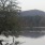 a lake surrounded by trees