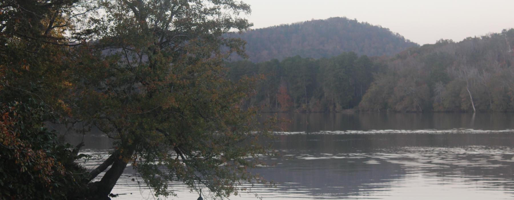 a lake surrounded by trees